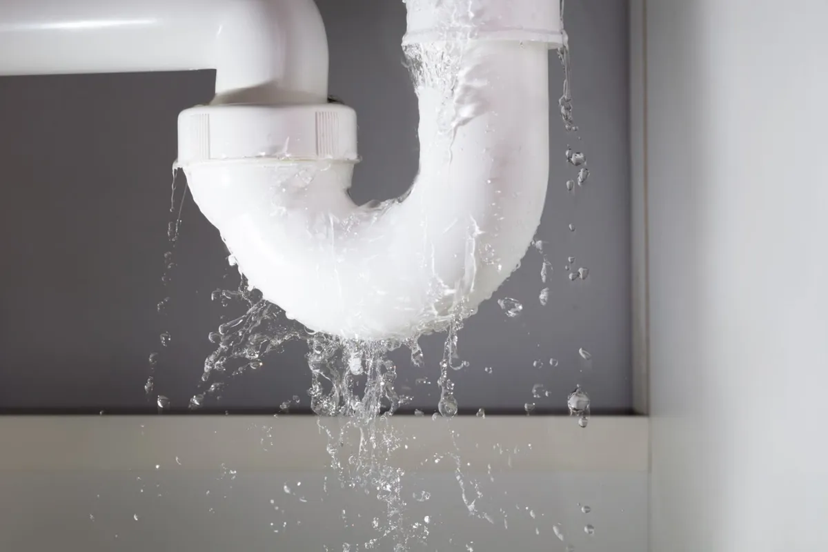 Sewer and Drain Repair - Bryant and Sons Plumbing